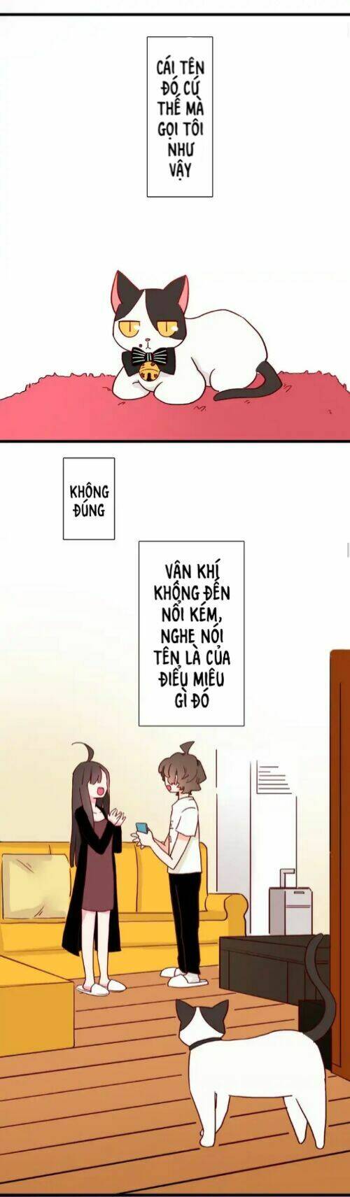 GấU Nhỏ Dư Và Thỏ Thỏ HứA Chapter 13 - Trang 2