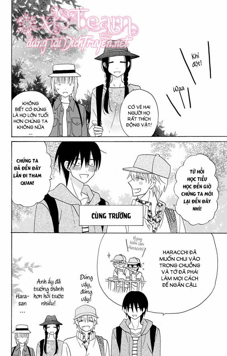 Kawaii Hito (Saitou Ken) Chapter 19 - Trang 2