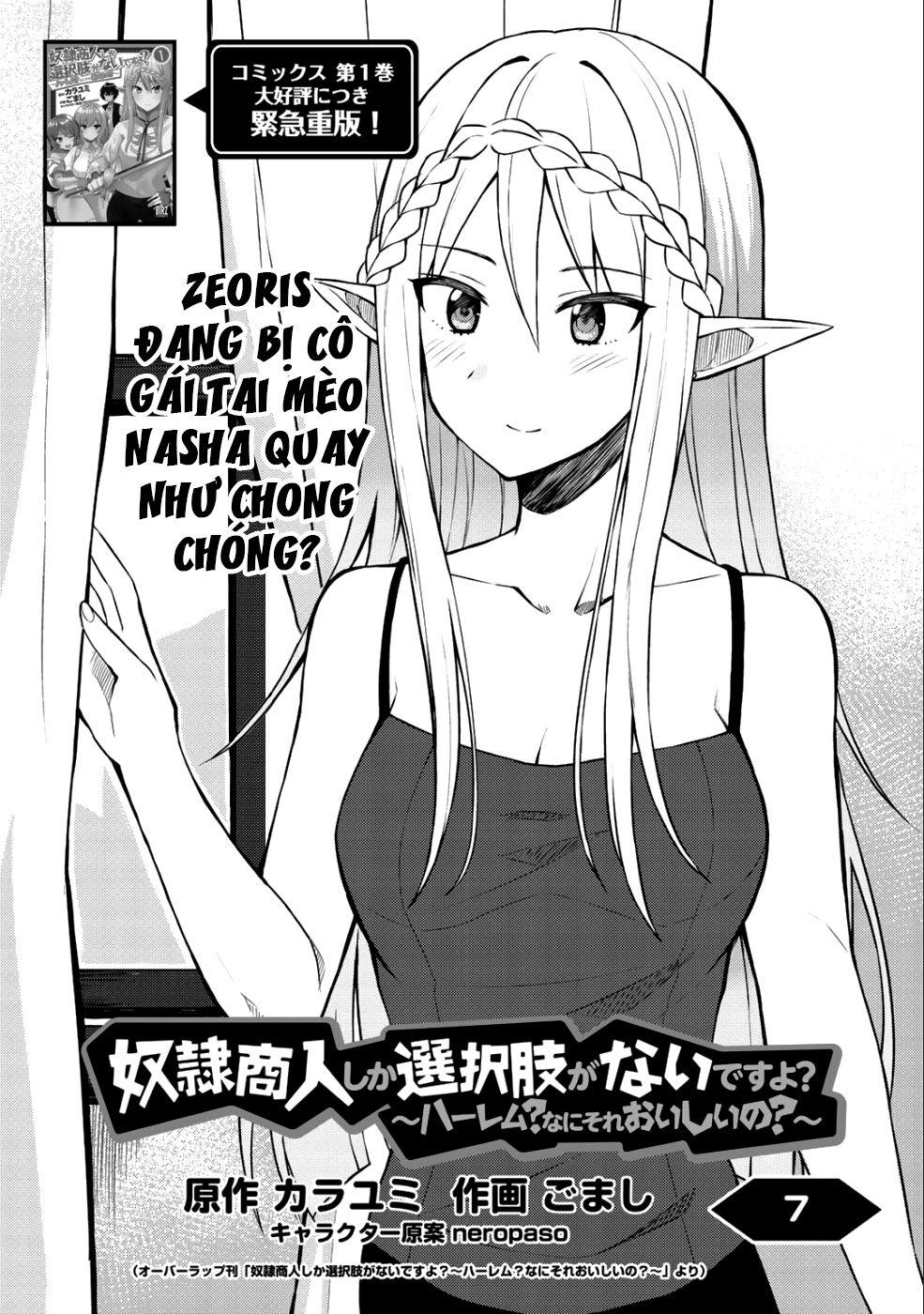 Dorei Shounin Shika Sentakushi Ga Nai Desu Yo? Harem? Nani Sore Oishii No? Chapter 7 - Trang 2