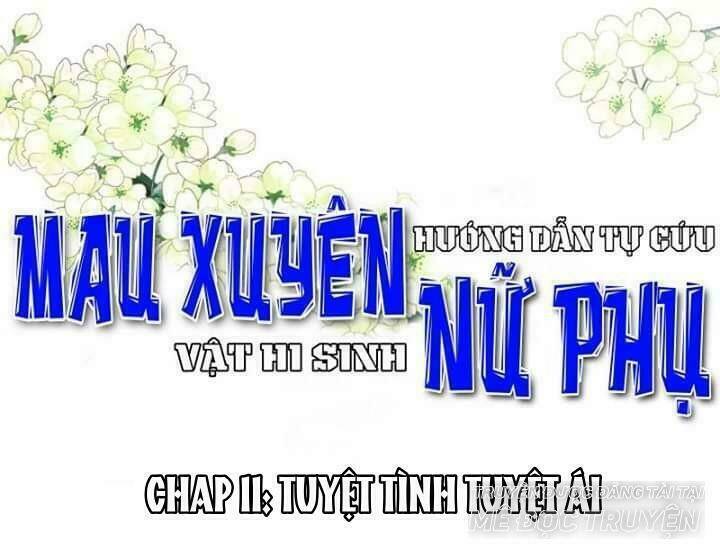 Mau Xuyên Hướng Dẫn Tự Cứu Vật Hi Sinh Nữ Phụ Chapter 11 - Trang 2