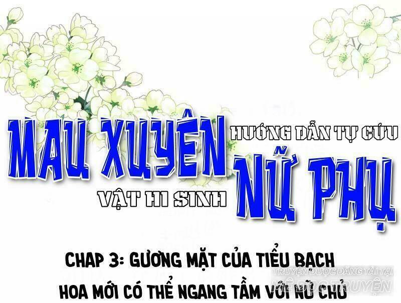 Mau Xuyên Hướng Dẫn Tự Cứu Vật Hi Sinh Nữ Phụ Chapter 3 - Trang 2