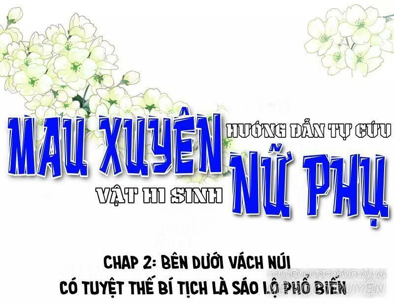 Mau Xuyên Hướng Dẫn Tự Cứu Vật Hi Sinh Nữ Phụ Chapter 2 - Trang 2