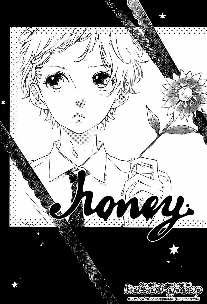 Honey (Meguro Amu) Chapter 20 - Trang 2