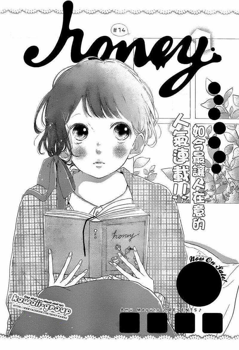 Honey (Meguro Amu) Chapter 14 - Trang 2