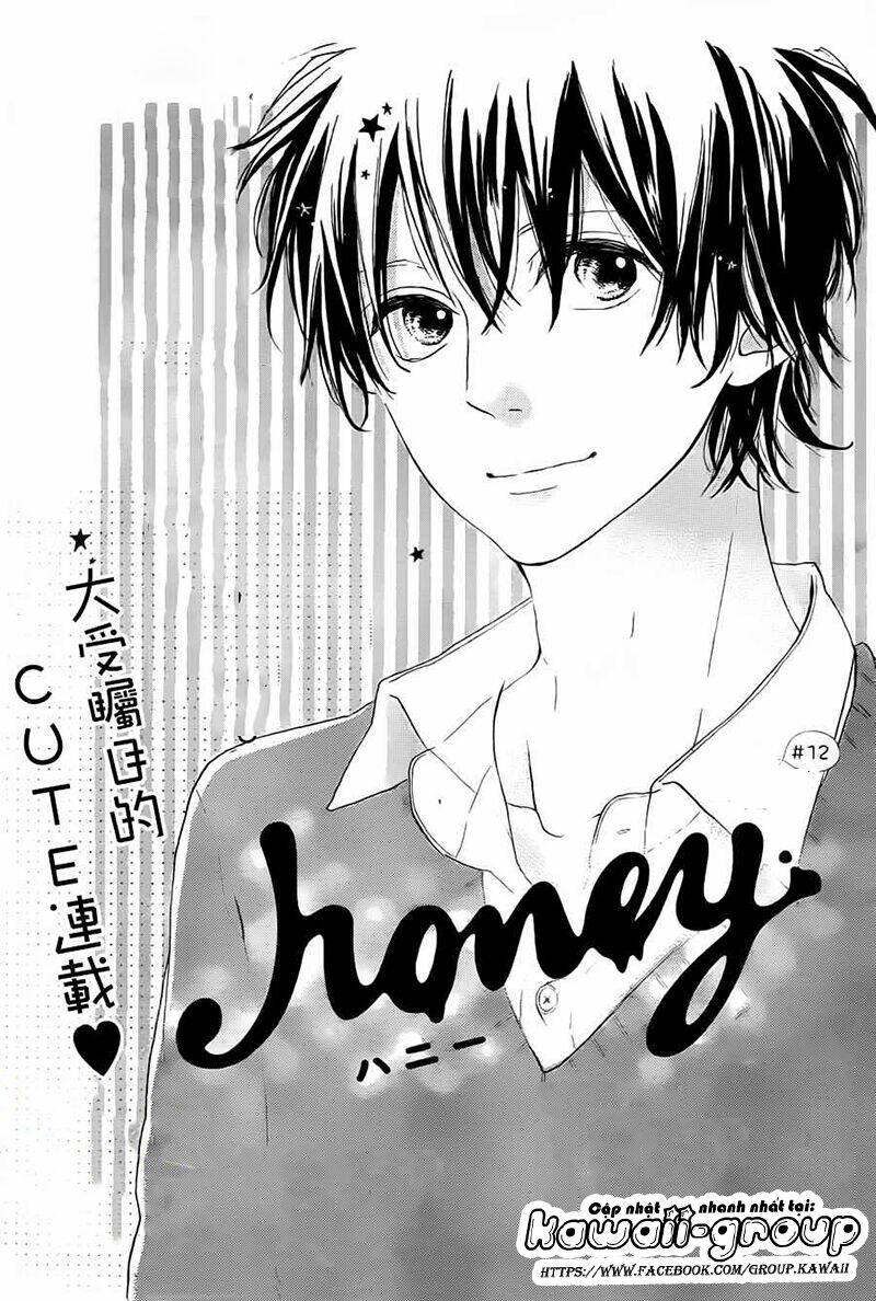 Honey (Meguro Amu) Chapter 12 - Trang 2