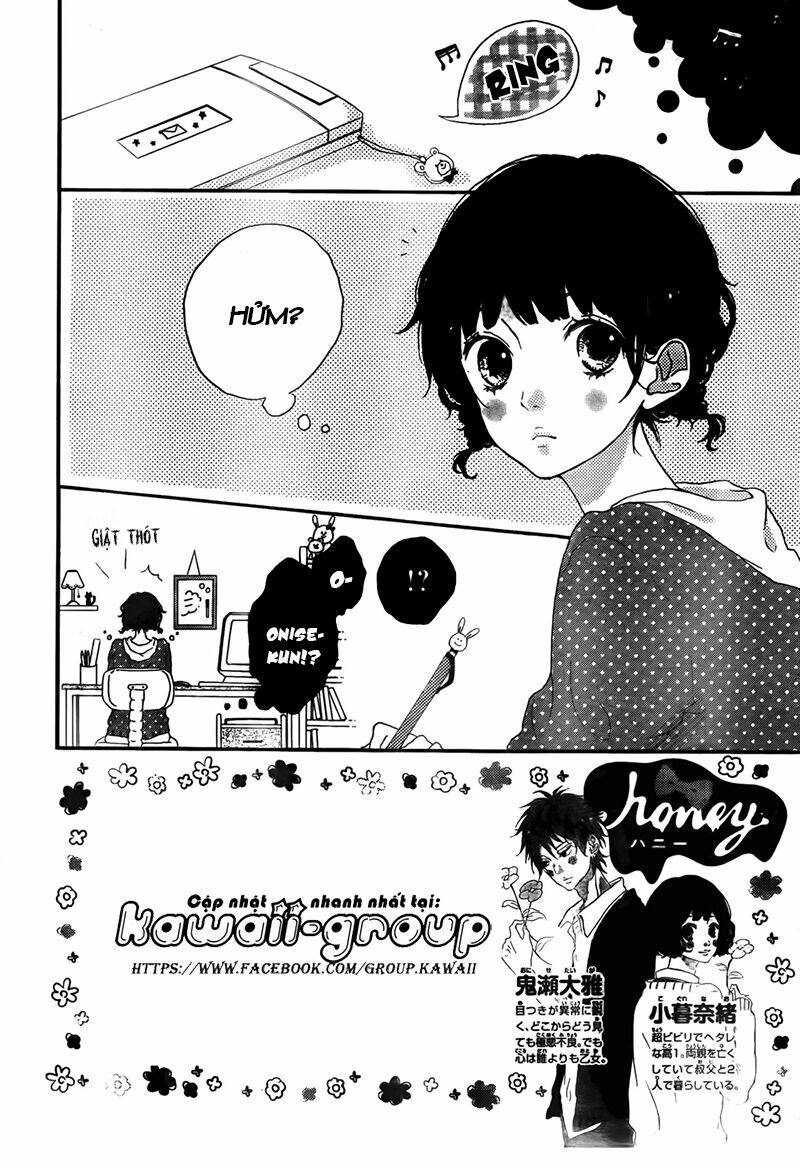 Honey (Meguro Amu) Chapter 2 - Trang 2