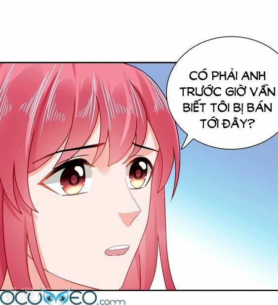 Sủng Hôn Lai Tập Chapter 45 - Trang 2