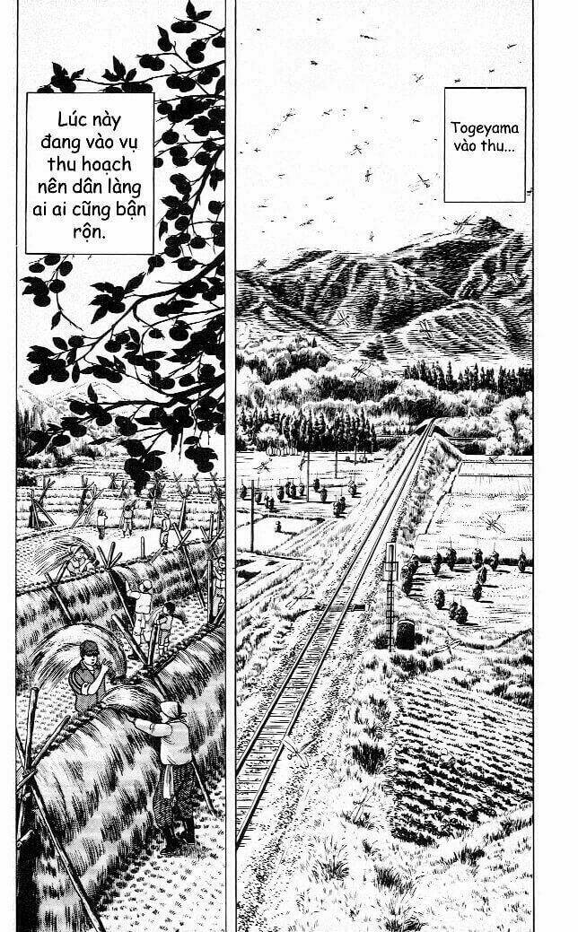 Kiếm Sĩ Musashi Chapter 88 - Trang 2