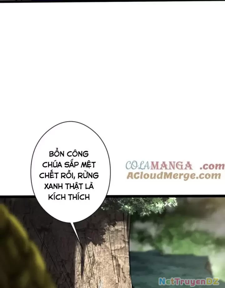 Ta, Chúa Tể Rừng Xanh Chapter 35 - Trang 2