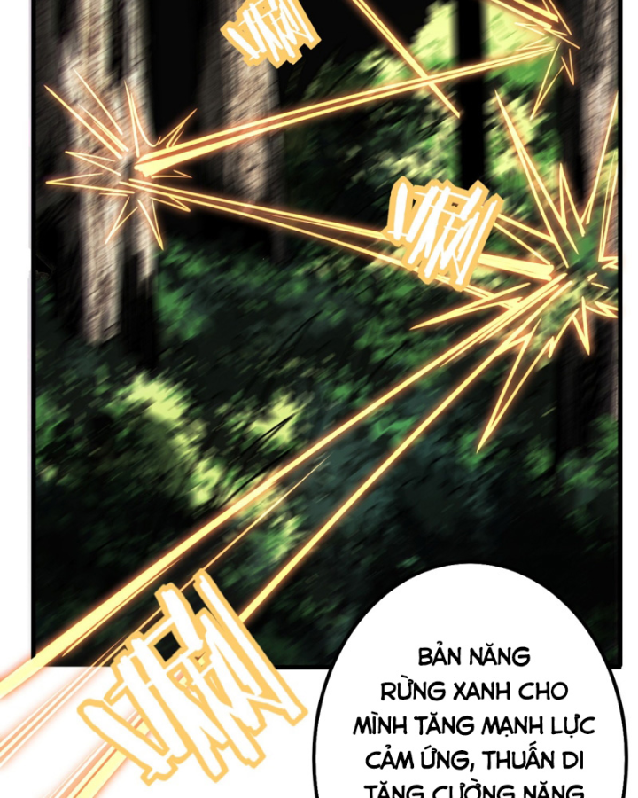 Ta, Chúa Tể Rừng Xanh Chapter 2 - Trang 2