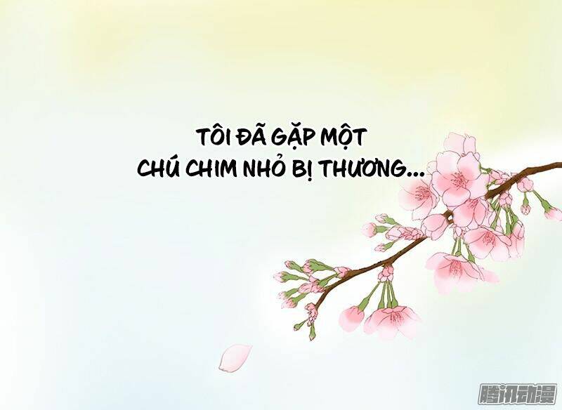 Tình Nhân Kiếp Trước Là Vĩ Hồ Chapter 1 - Trang 2