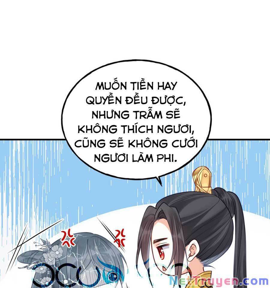 Đây Không Muốn Cung Đấu Mà Chapter 13 - Trang 2