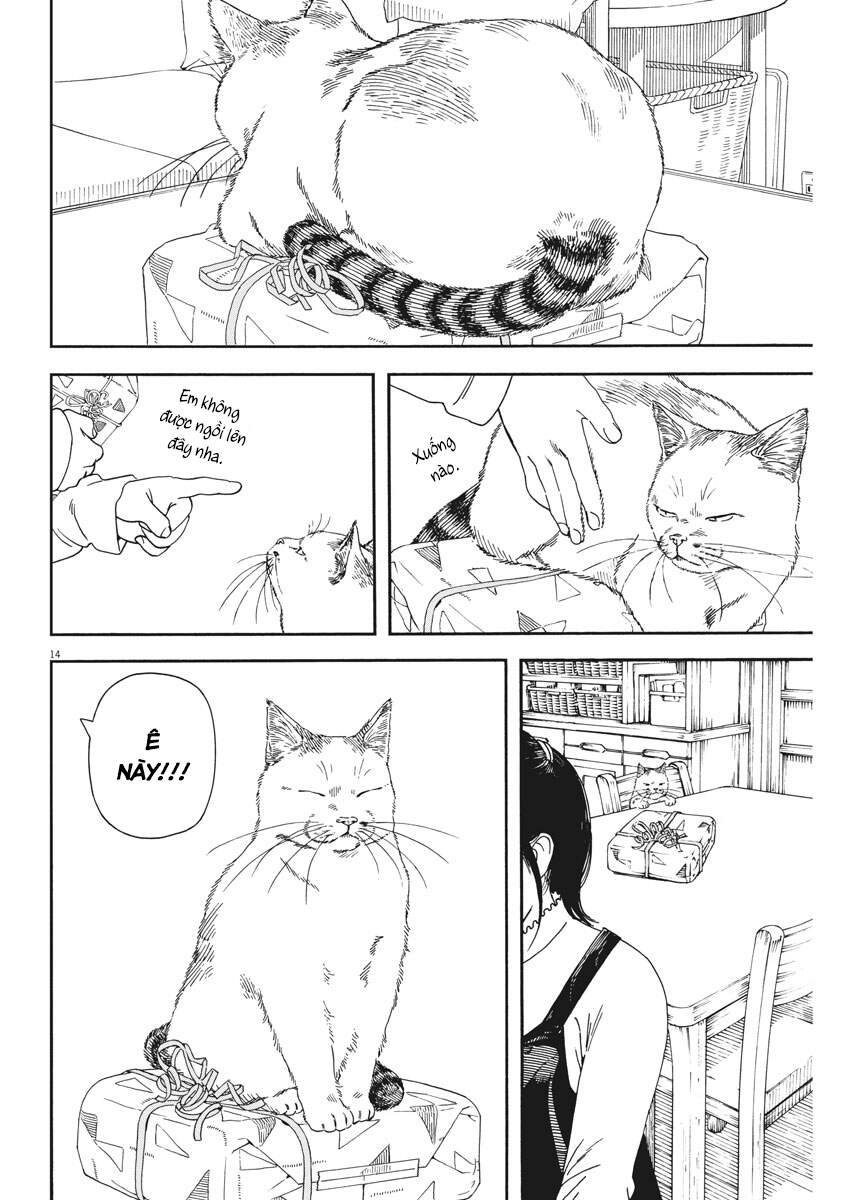 Neko No Otera No Chion-San Chapter 71 - Trang 2