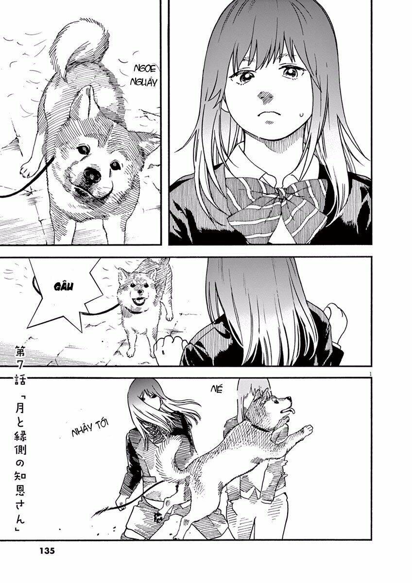 Neko No Otera No Chion-San Chapter 7 - Trang 2