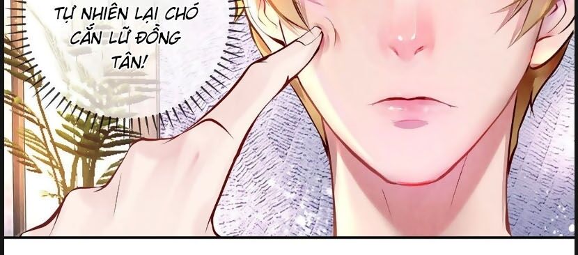 Chung Cư Của Các Ảnh Đế Chapter 10 - Trang 2