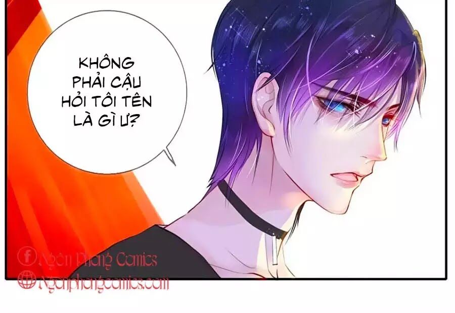 Chung Cư Của Các Ảnh Đế Chapter 1 - Trang 2