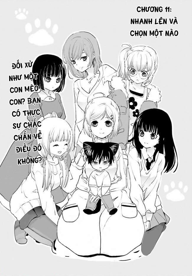 Miharashi-Sou No 5-Nin No Hanayome Chapter 11 - Trang 2