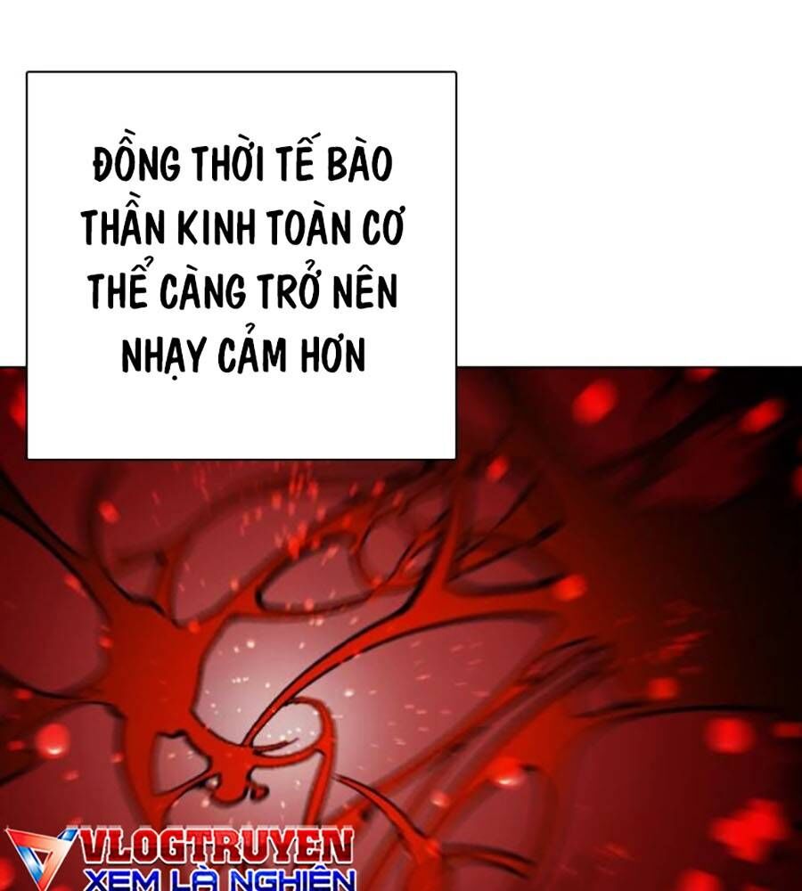 Loser Giỏi Võ Chapter 81 - Trang 2