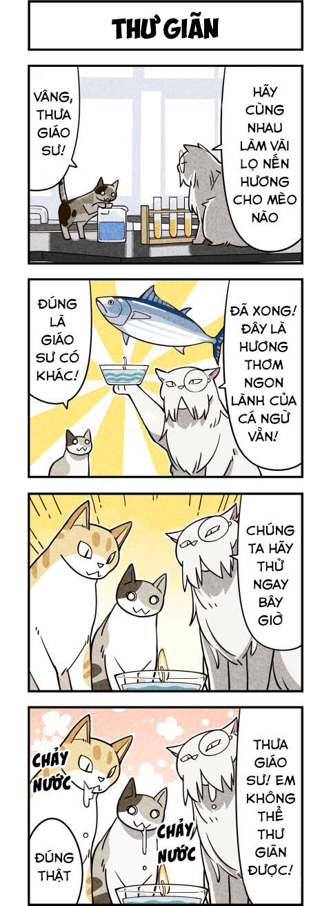 We Are Cat Chapter 9 - Trang 2