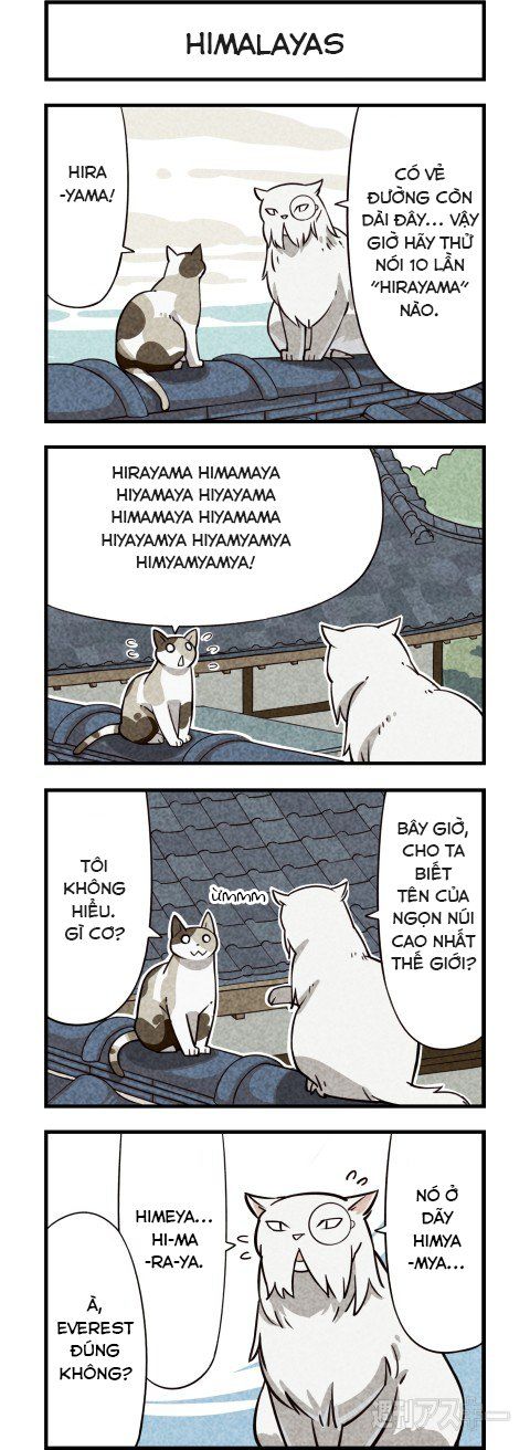 We Are Cat Chapter 6 - Trang 2