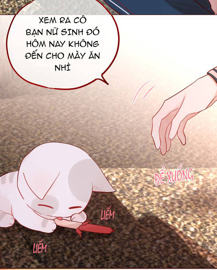 Đêm Ngày Không Dứt Chapter 4 - Trang 2