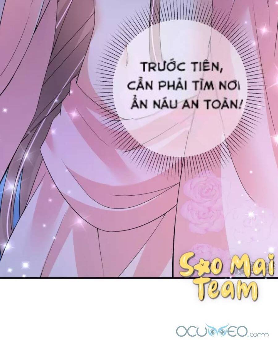 Long Vương Truy Thê Chapter 6 - Trang 2