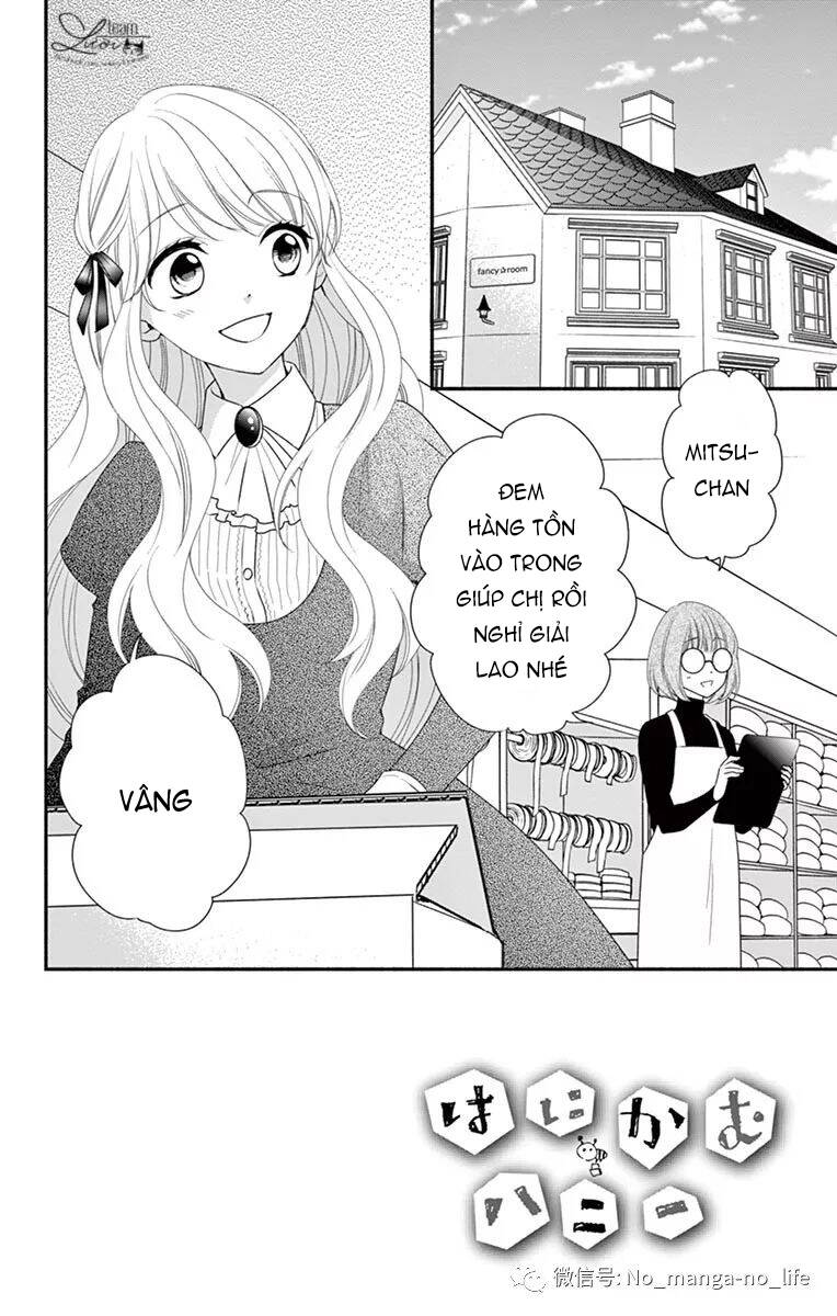 Hanikamu Honey Chapter 33 - Trang 2