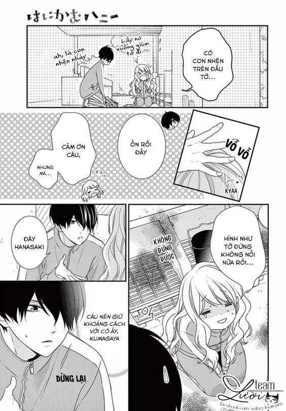 Hanikamu Honey Chapter 9 - Trang 2