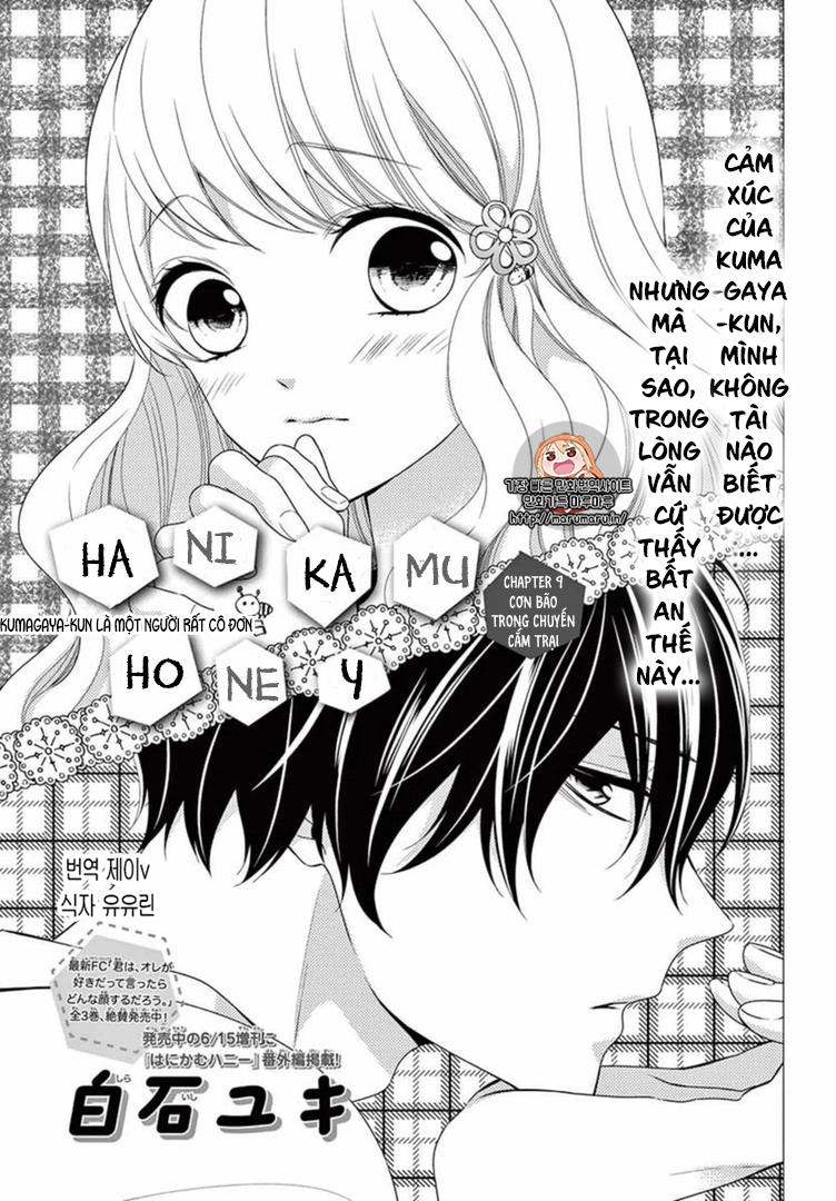 Hanikamu Honey Chapter 9 - Trang 2