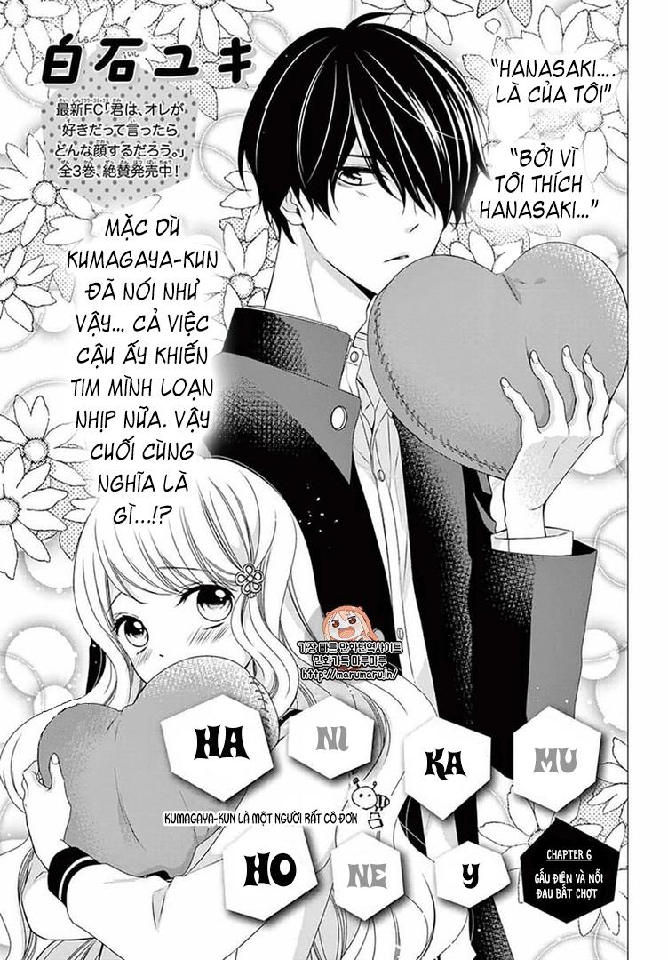 Hanikamu Honey Chapter 6 - Trang 2