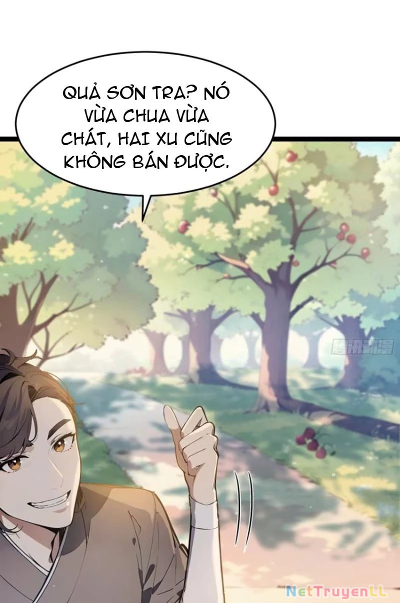 Ta Thật Sự Không Muốn Làm Thánh Tiên Chapter 4 - Trang 2