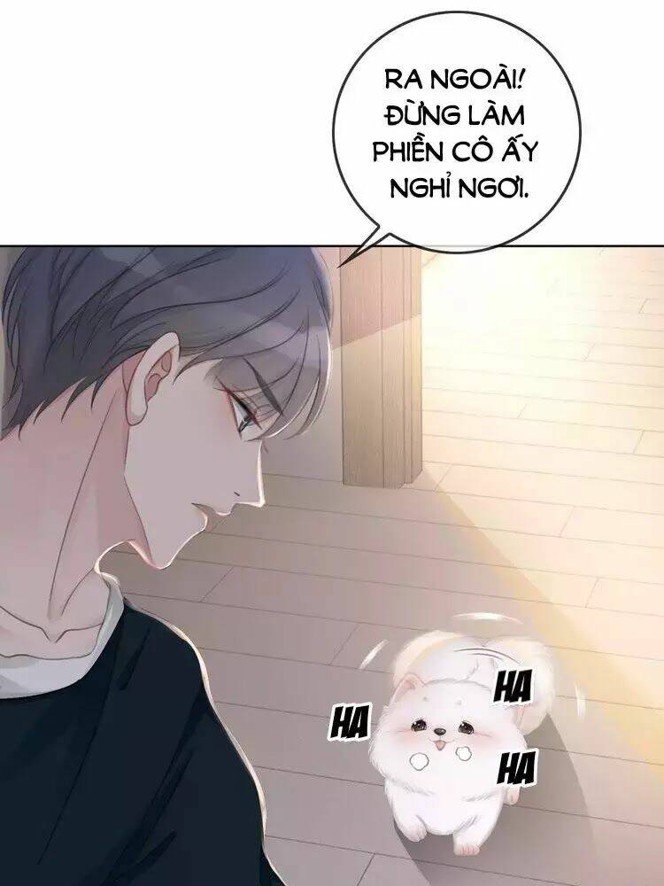 Ám Hắc Hệ Noãn Hôn Chapter 7 - Trang 2