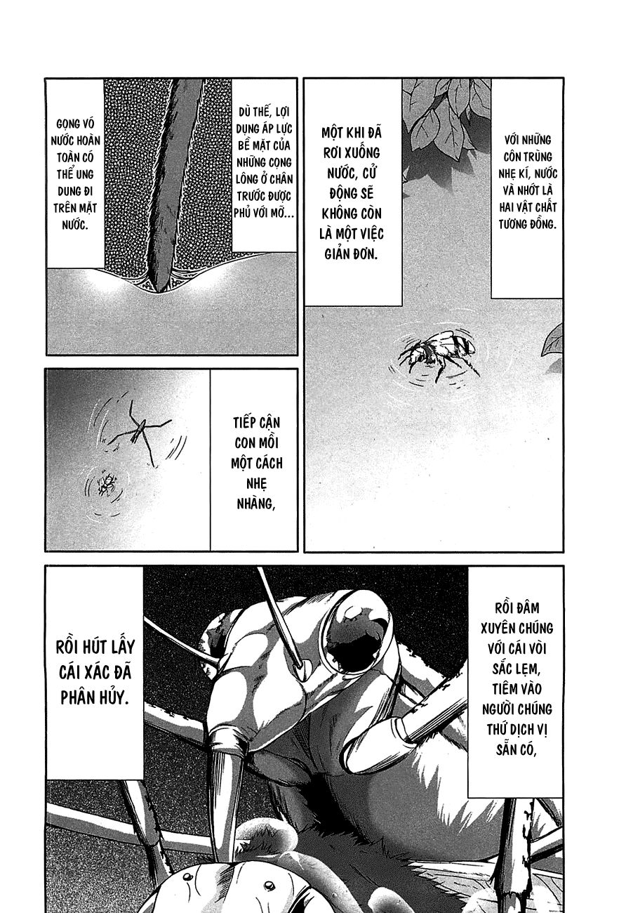Arachnid Chapter 19 - Trang 2