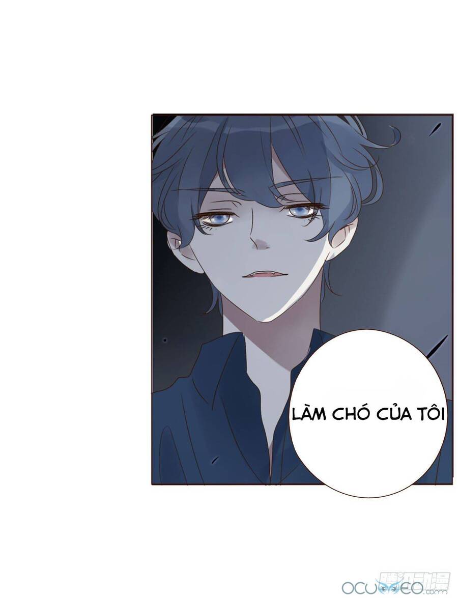 Ôm Hôn Mạc Nhiên Chapter 20 - Trang 2