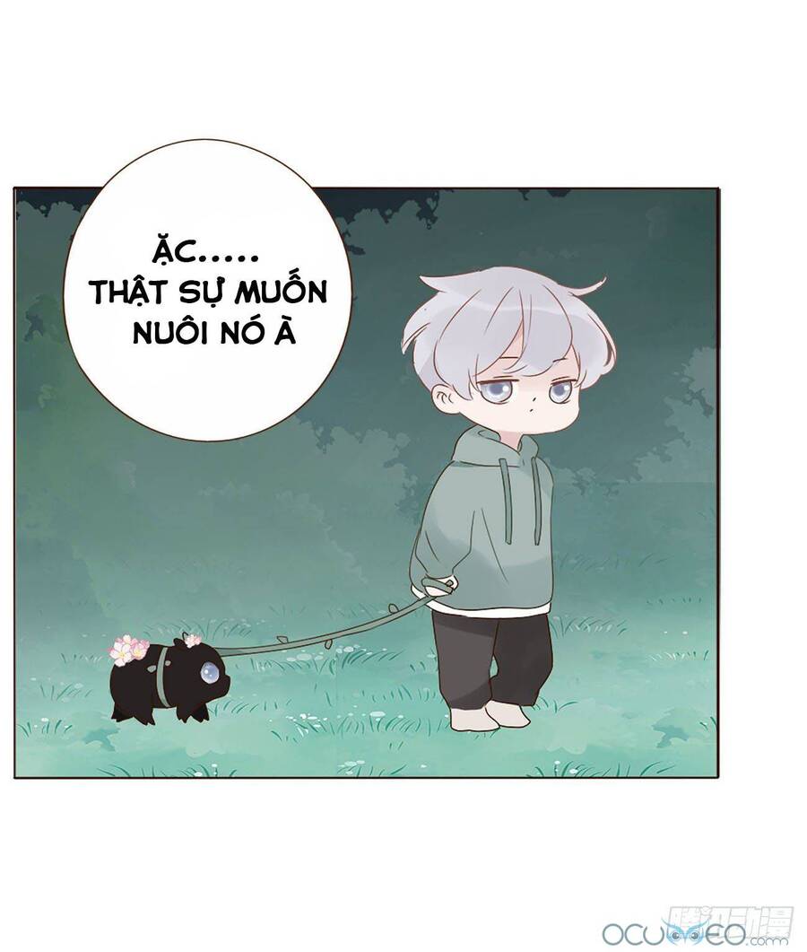 Ôm Hôn Mạc Nhiên Chapter 20 - Trang 2