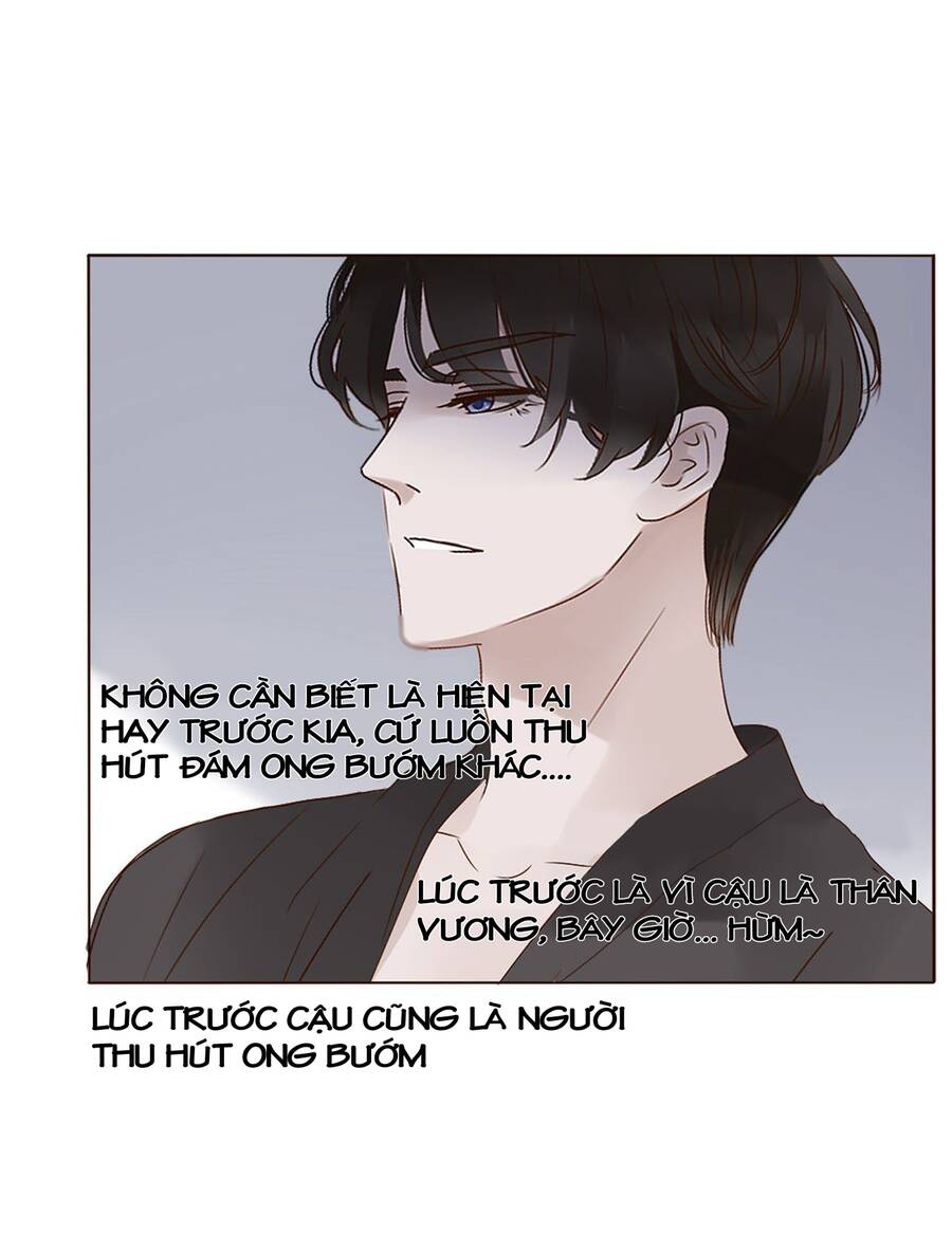 Ôm Hôn Mạc Nhiên Chapter 16 - Trang 2