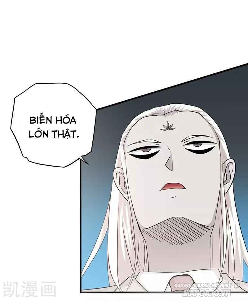 Địa Ngục Này Ta Mở Ra Đấy Chapter 87 - Trang 2
