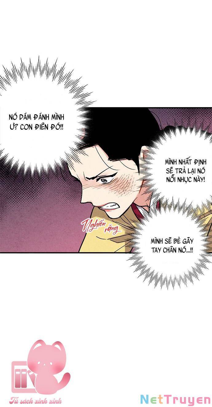 Cấm Hôn Chapter 81 - Trang 2