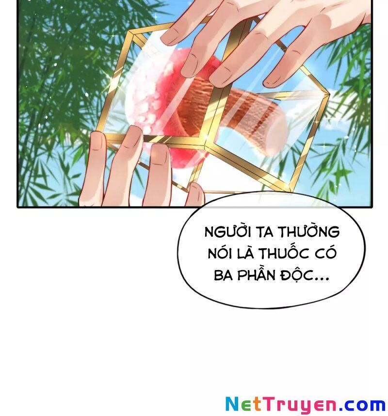 Vòng Bạn Bè Mạnh Nhất Của Tiên Giới Chapter 47 - Trang 2