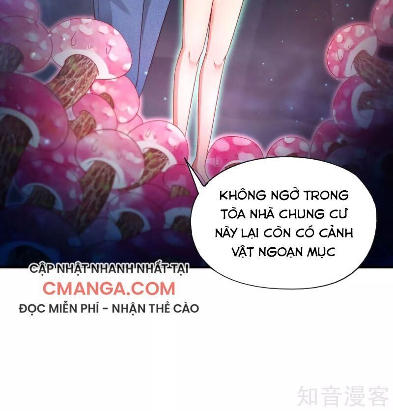 Vòng Bạn Bè Mạnh Nhất Của Tiên Giới Chapter 46 - Trang 2