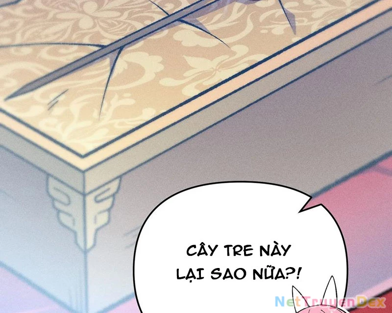 Ta Làm Súc Vật Ở Tu Tiên Giới Chapter 29 - Trang 2