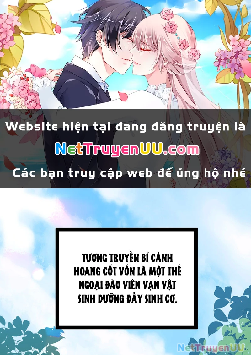 Ta Làm Súc Vật Ở Tu Tiên Giới Chapter 10 - Trang 2