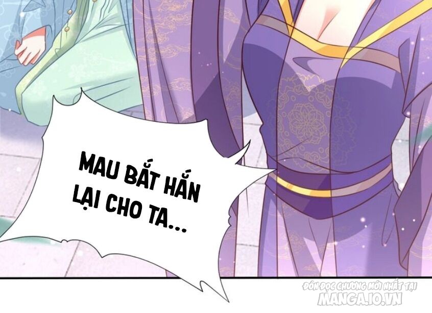 Công Chúa Tại Thượng: Quốc Sư Mời Xuống Kiệu Chapter 43 - Trang 2