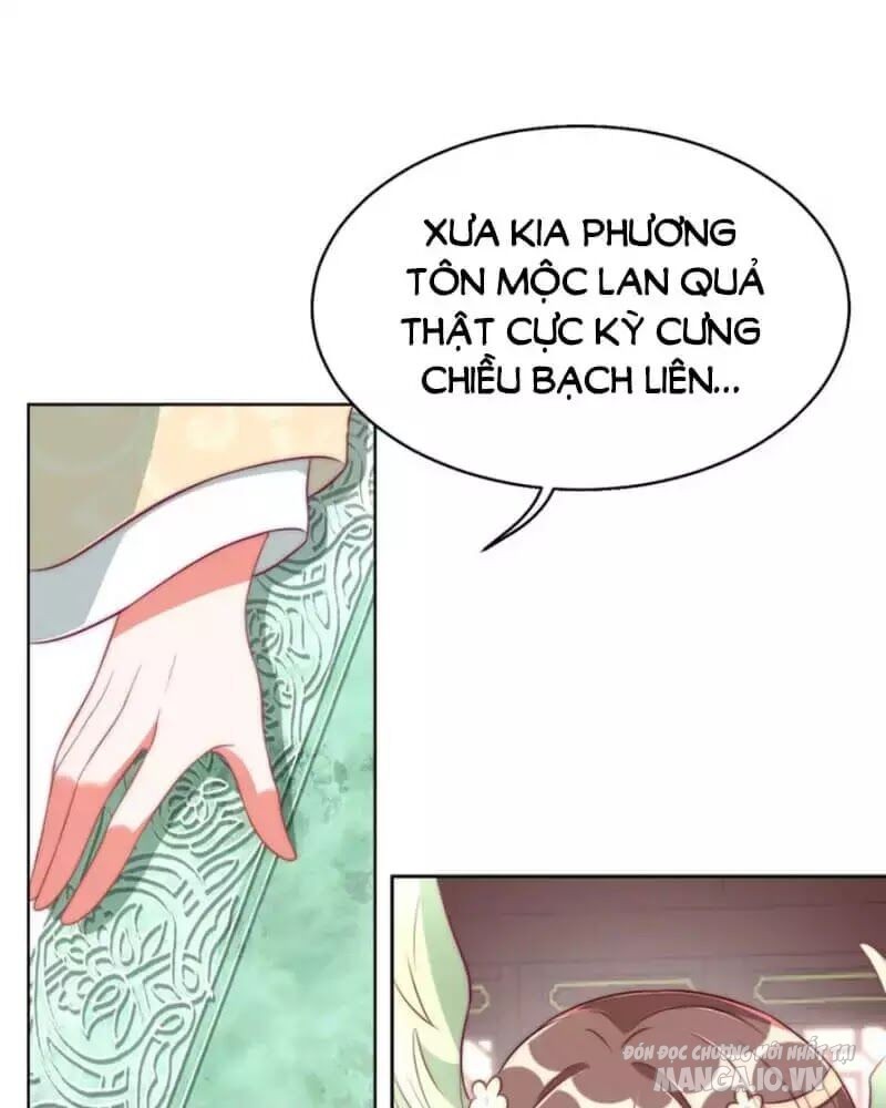 Công Chúa Tại Thượng: Quốc Sư Mời Xuống Kiệu Chapter 36 - Trang 2