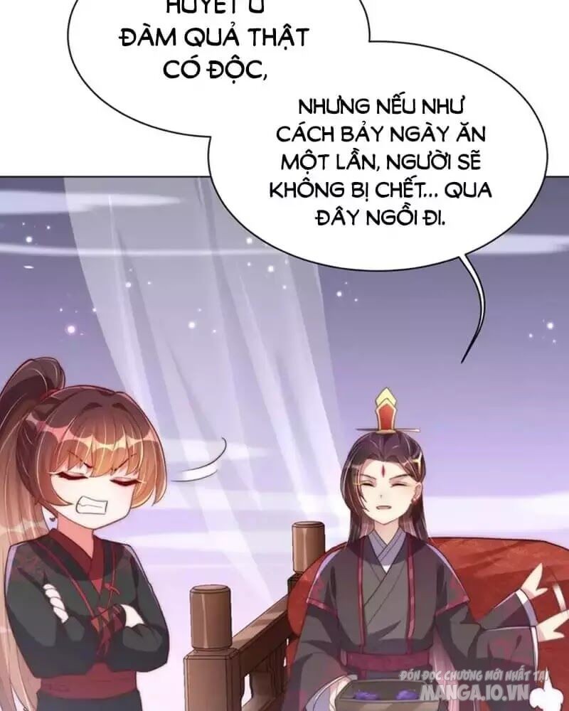 Công Chúa Tại Thượng: Quốc Sư Mời Xuống Kiệu Chapter 34 - Trang 2