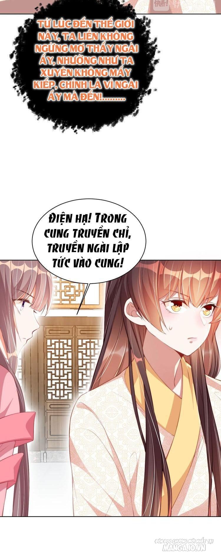 Công Chúa Tại Thượng: Quốc Sư Mời Xuống Kiệu Chapter 12 - Trang 2