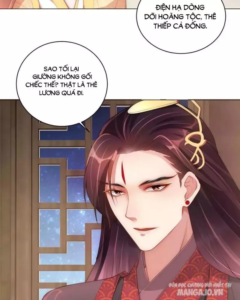 Công Chúa Tại Thượng: Quốc Sư Mời Xuống Kiệu Chapter 8 - Trang 2