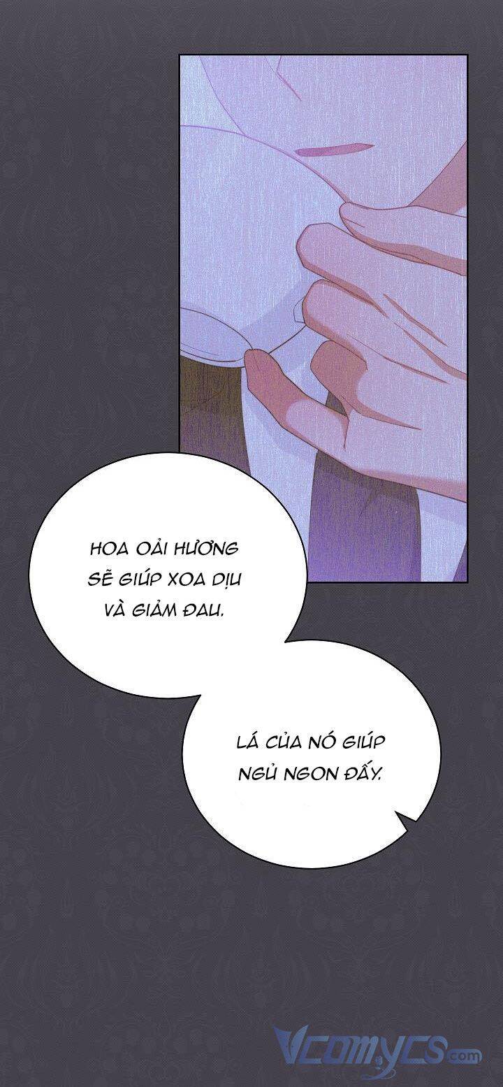 Tôi Sẽ Chịu Trách Nhiệm Về Phúc Lợi Của Nam Chính Chapter 15 - Trang 2