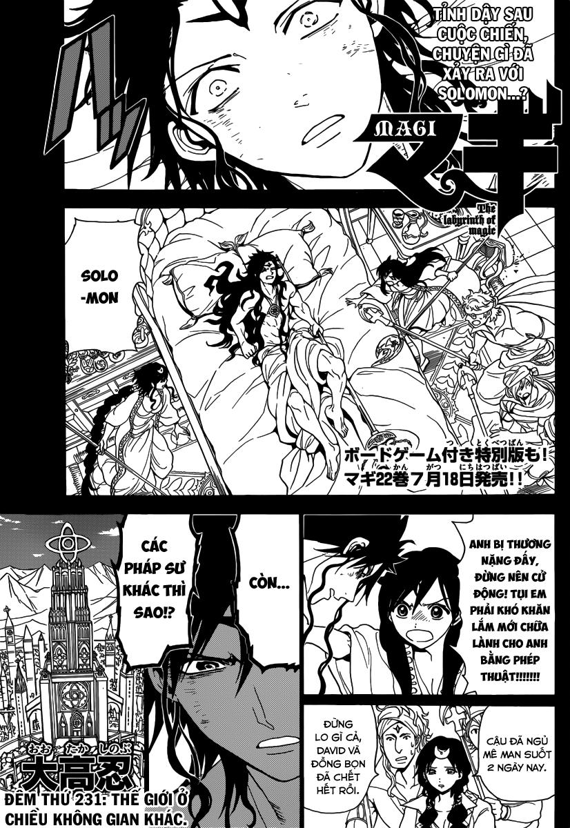 Magi: Bậc Thầy Pháp Thuật Chapter 231 - Trang 2