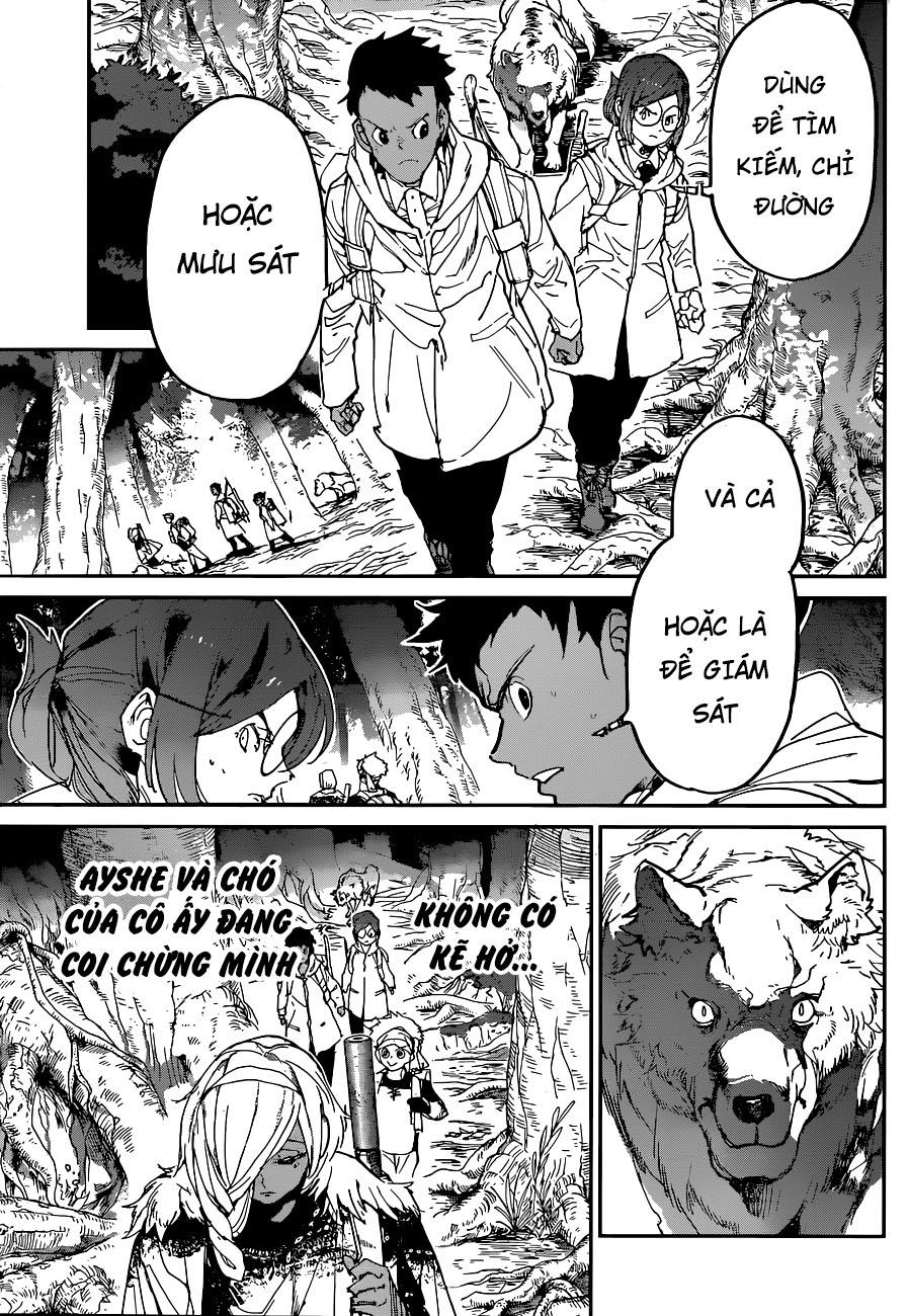 The Promised Neverland Chapter 138 - Trang 2